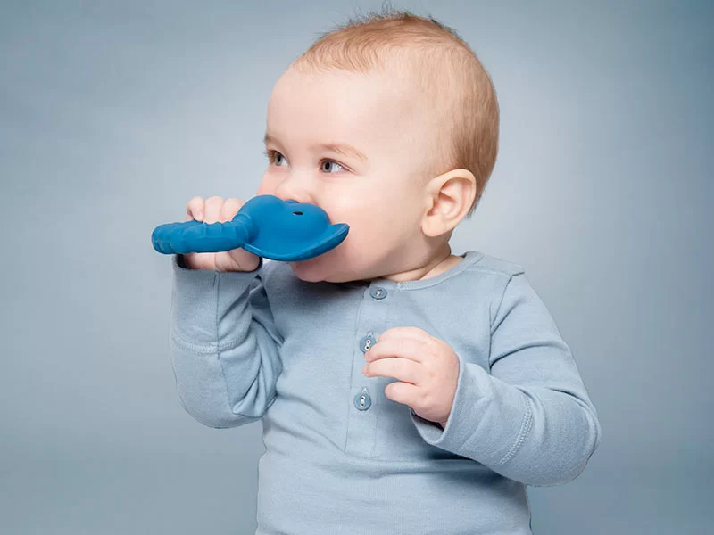 خرید دندان گیر نوزاد