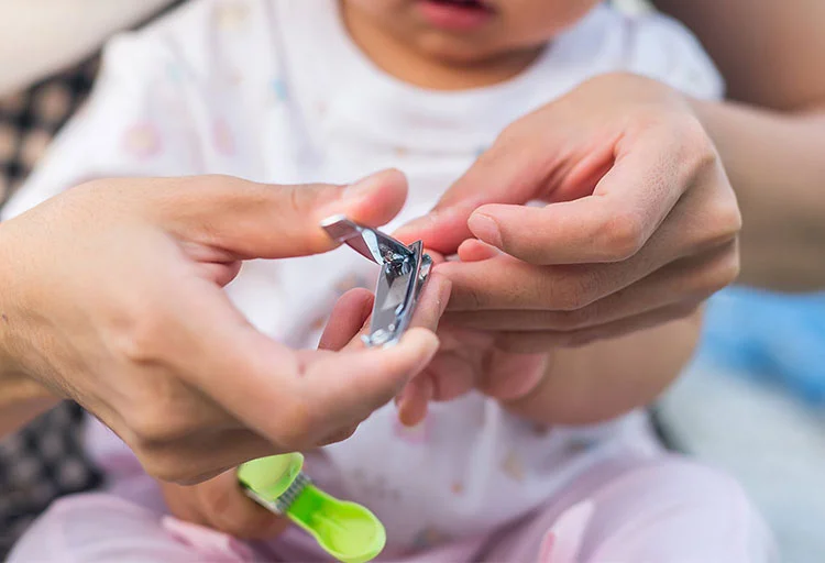 ویژگی ناخن گیر نوزاد