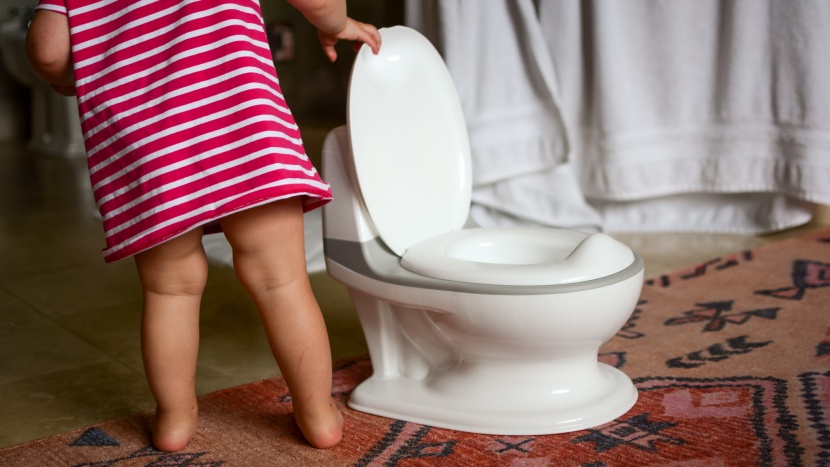 نکات و زمان آموزش استفاده از توالت فرنگی کودک