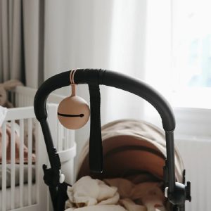 قاب پستانک تمام سیلیکونی چیکو Chicco